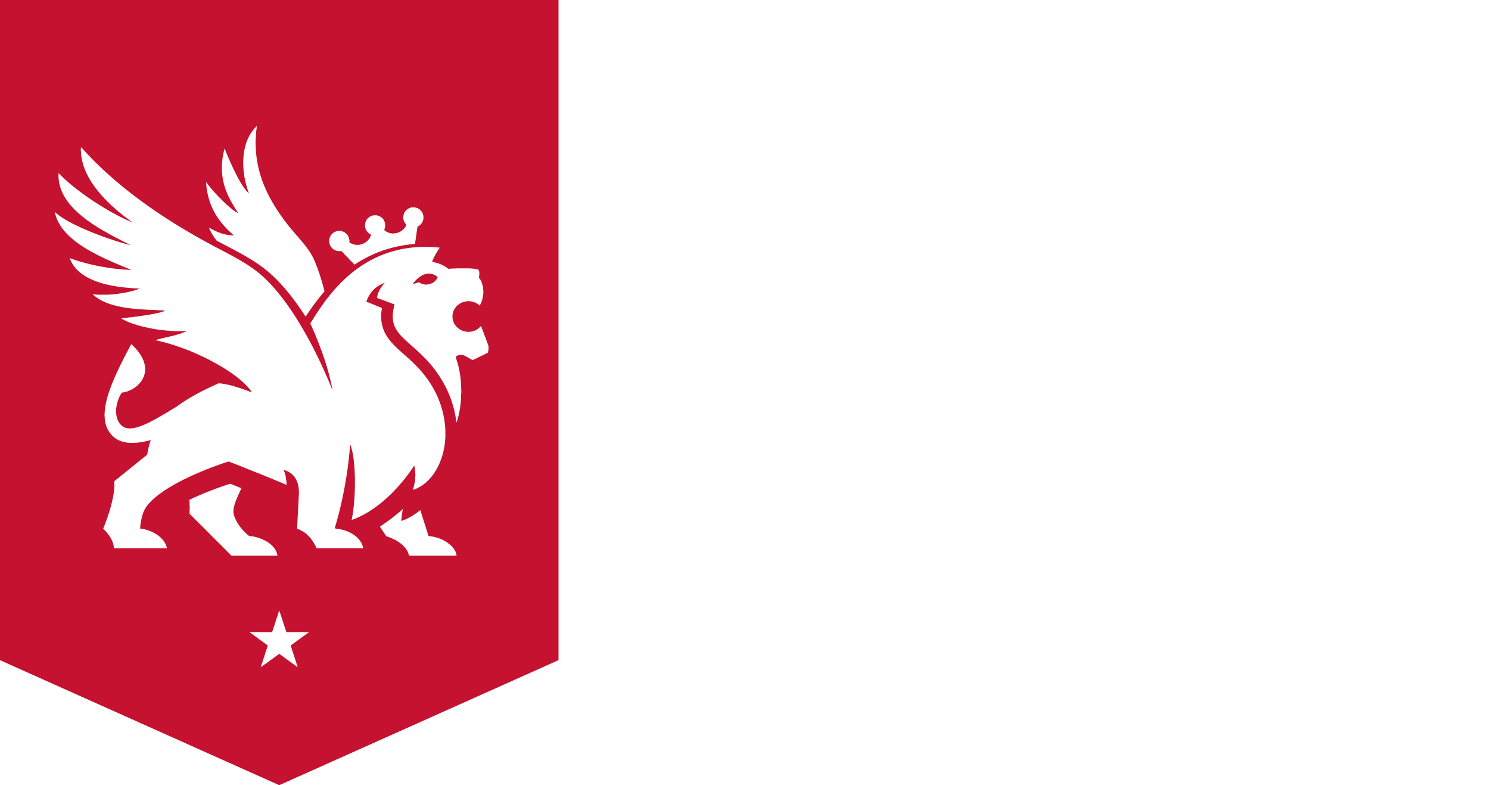 Shine Lion